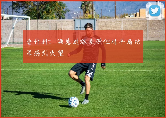舍什科：满意进球表现但对平局结果感到失望