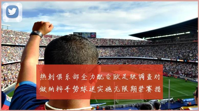 热刺俱乐部全力配合欧足联调查对做纳粹手势球迷实施无限期禁赛措施